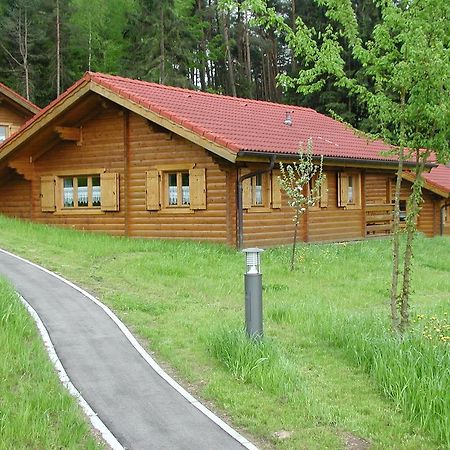 Blockhaus Bayerischer Wald Stamsried 外观 照片