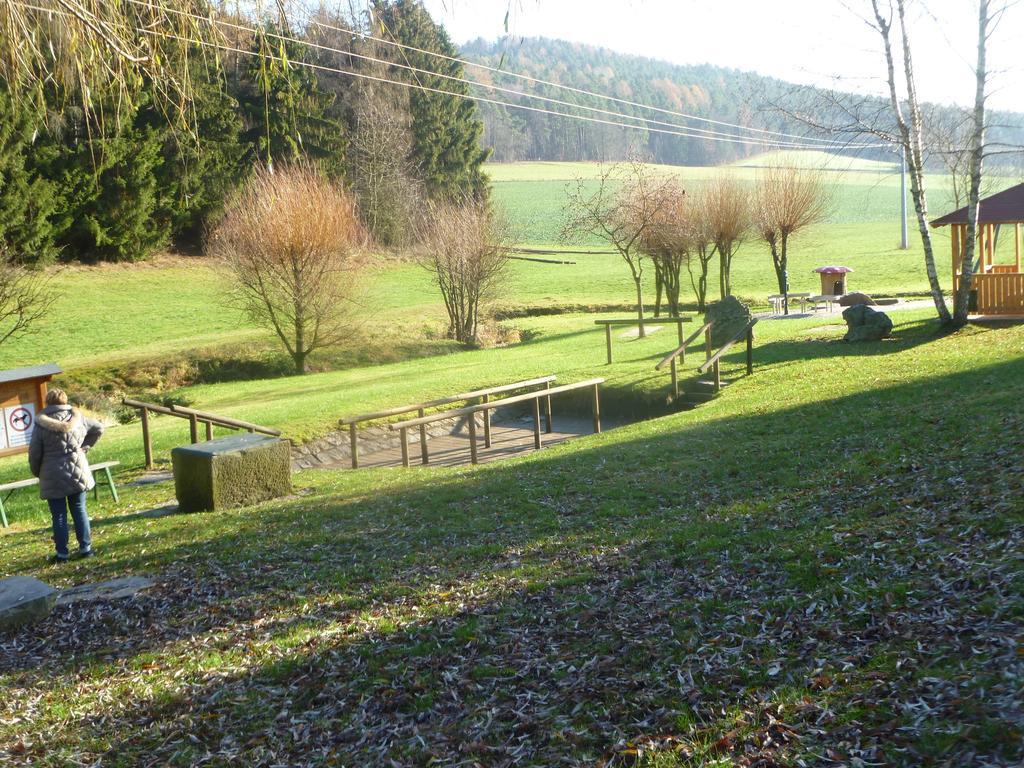 Blockhaus Bayerischer Wald Stamsried 外观 照片