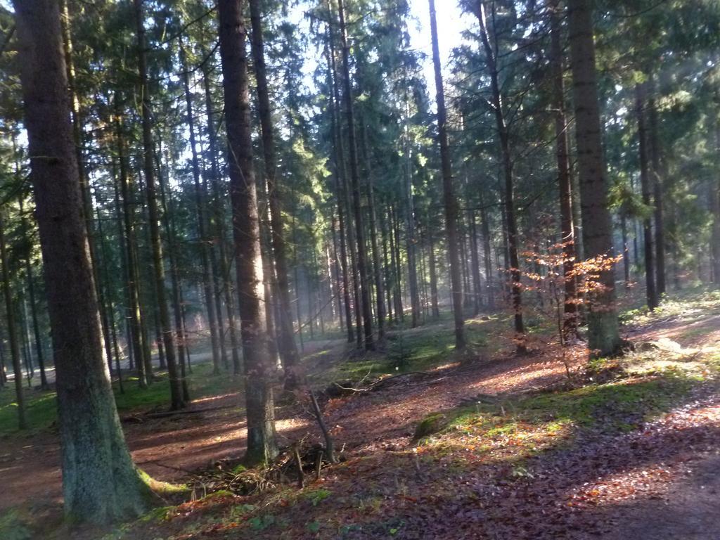 Blockhaus Bayerischer Wald Stamsried 外观 照片