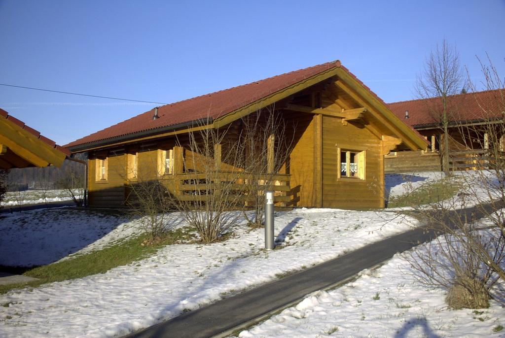 Blockhaus Bayerischer Wald Stamsried 外观 照片